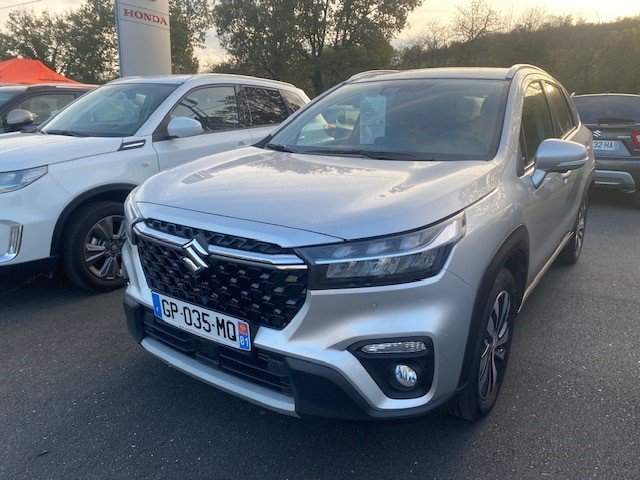 suzuki - Visuel 0