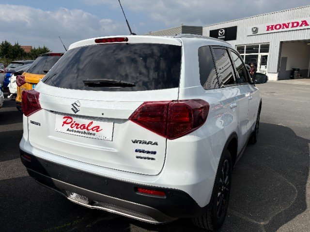 suzuki - Visuel 1