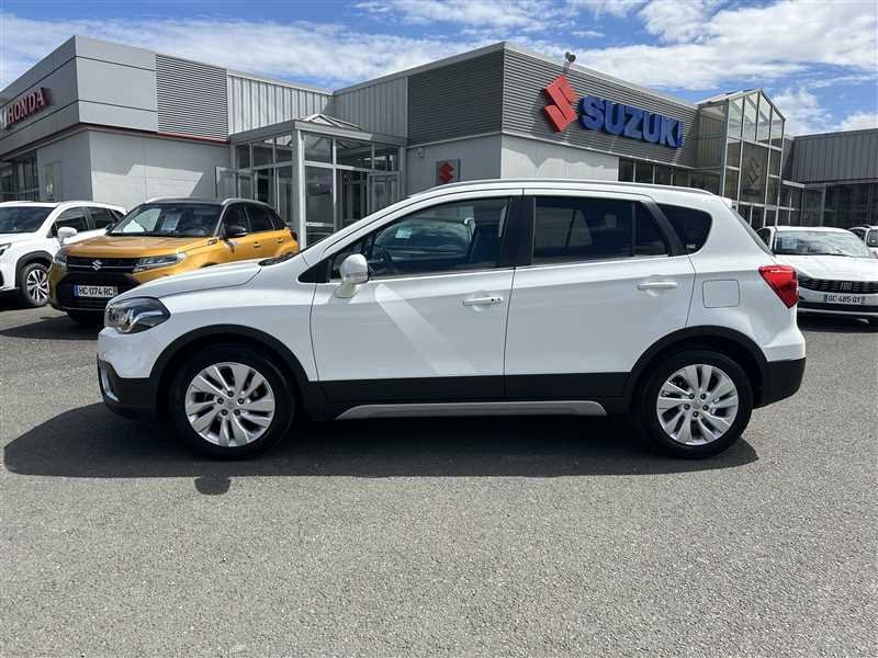 suzuki - Visuel 1