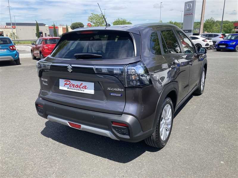 suzuki - Visuel 1