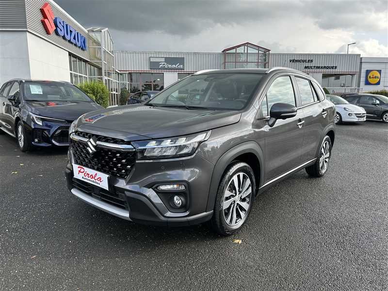 suzuki - Visuel 0