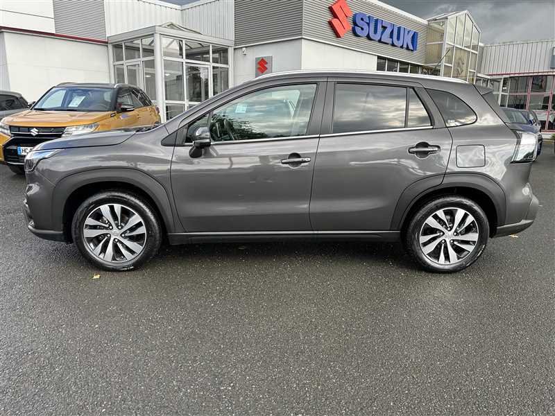suzuki - Visuel 1