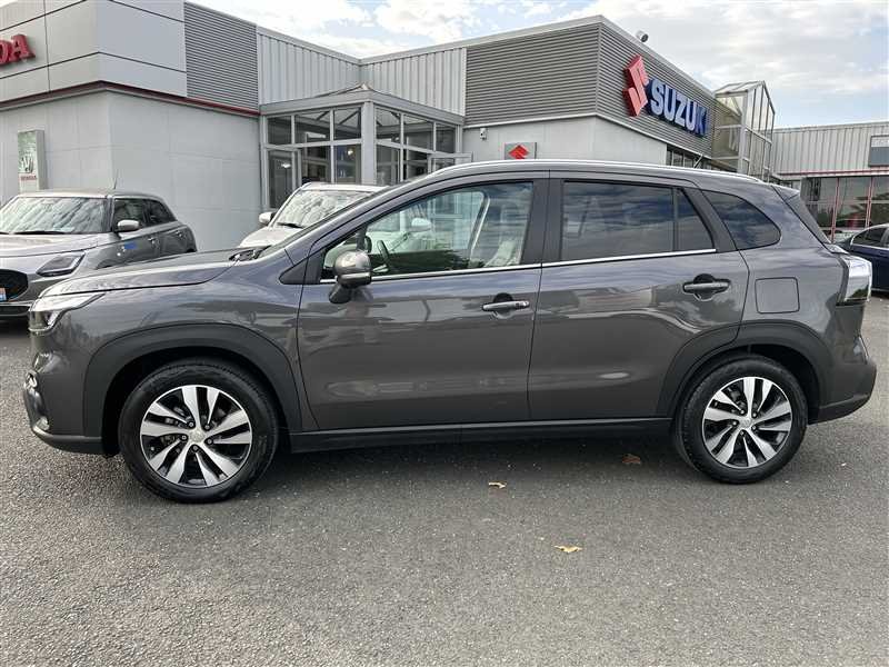 suzuki - Visuel 1