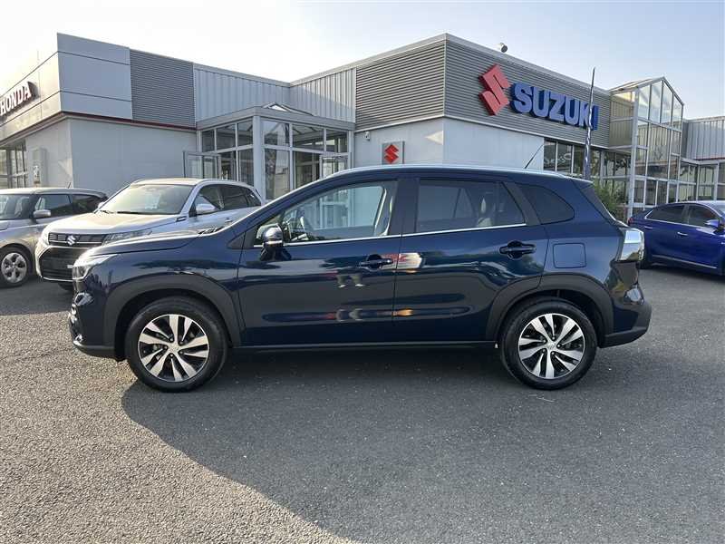 suzuki - Visuel 1