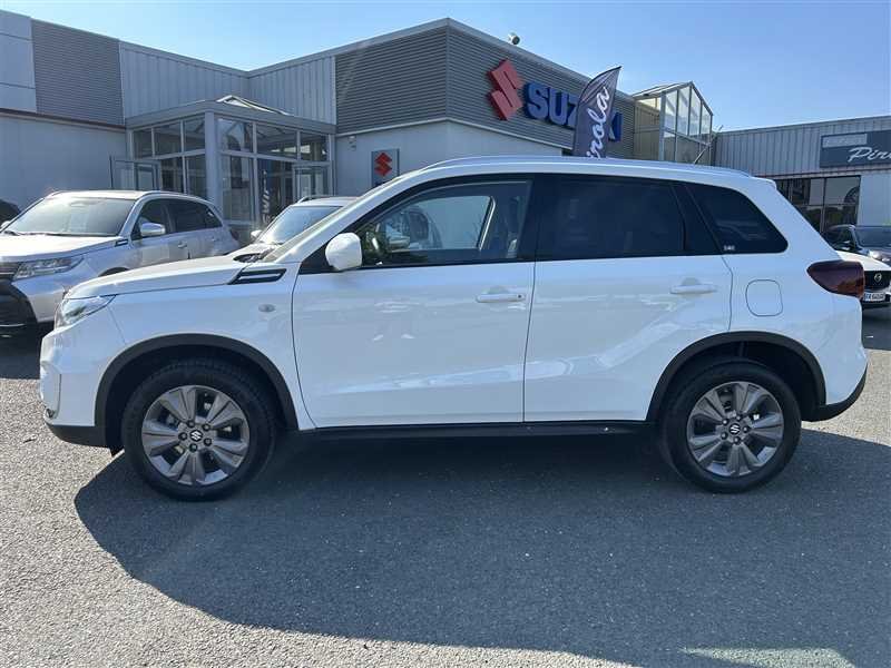 suzuki - Visuel 1