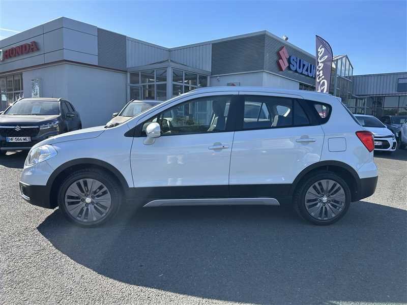 suzuki - Visuel 1